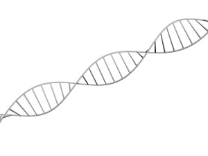 DNA Helix 3D Модель