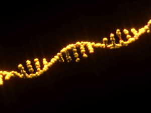 RNA Helix 3D Model