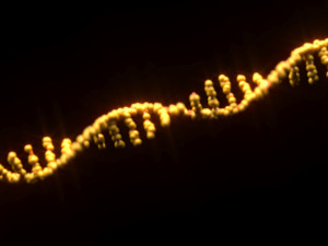RNA Helix 3D Модель