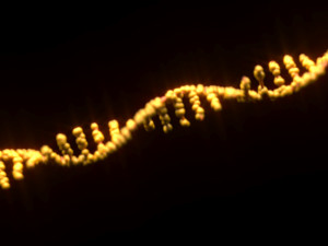 RNA Helix 3D Модель