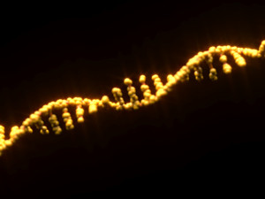 RNA Helix 3D Модель