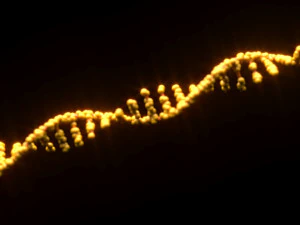 RNA Helix 3D Model