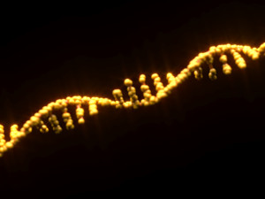 RNA Helix 3D Модель