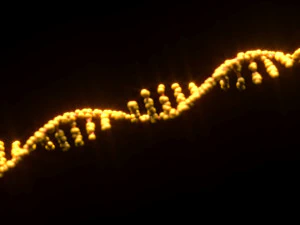 RNA Helix 3D Model