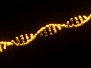 RNA Helix 3D Модель