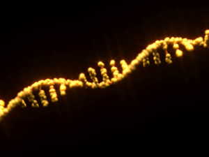 RNA Helix 3D Модель