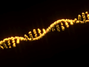 RNA Helix 3D Модель
