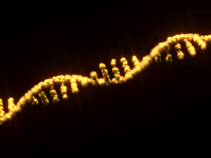 RNA Helix 3D Модель