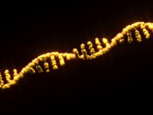 RNA Helix 3D Модель