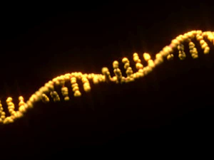 RNA Helix 3D Model
