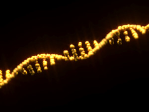 RNA Helix 3D Модель