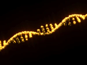 RNA Helix 3D Model