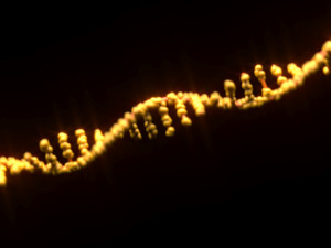 RNA Helix 3D Модель
