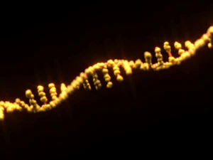 RNA Helix 3D Model