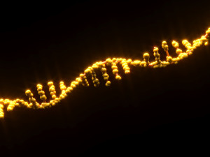 RNA Helix 3D Модель