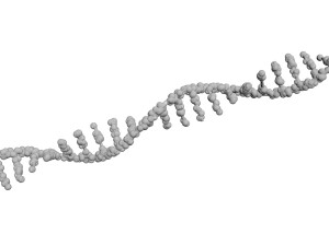 RNA Helix 3D Модель