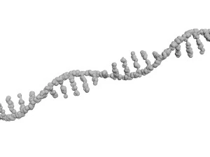 RNA Helix 3D Model