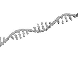 RNA Helix 3D Модель