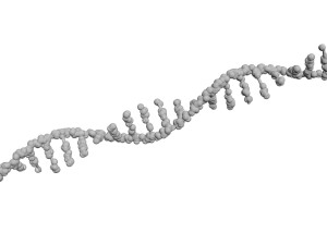 RNA Helix 3D Модель