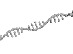 RNA Helix 3D Модель