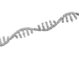 RNA Helix 3D Модель