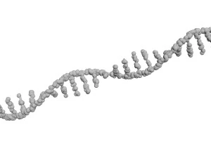 RNA Helix 3D Model