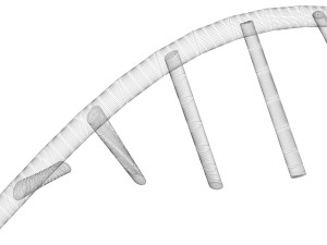 RNA Helix 3D Модель