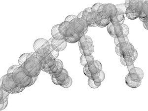 RNA Helix 3D Модель