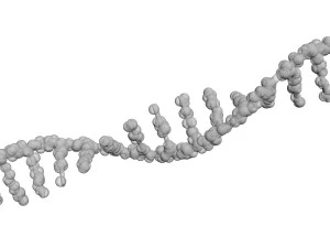 RNA Helix 3D Model