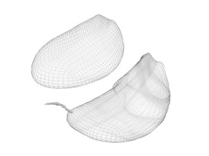 Garlic Cloves Modelo 3D