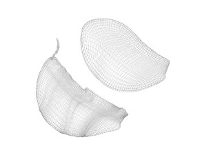 Garlic Cloves Modelo 3D