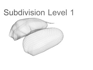Garlic Cloves Modelo 3D