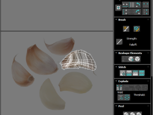 Garlic Cloves Modelo 3D