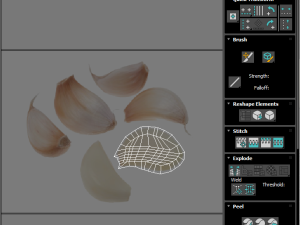 Garlic Cloves Modelo 3D