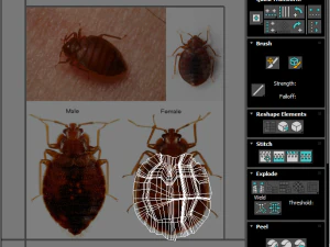 Набір клопів 3D Модель