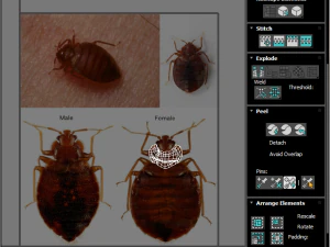 Набір клопів 3D Модель
