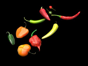 Chili Peppers Set 3D Model