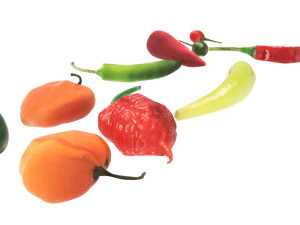Chili Peppers Set 3D Model