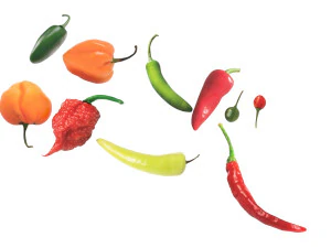 Chili Peppers Set 3D Model