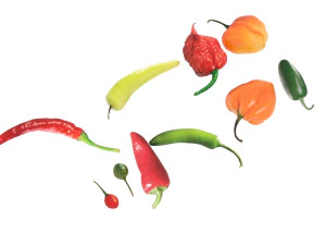 Chili Peppers Set 3D Model