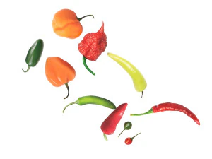 Chili Peppers Set 3D Model