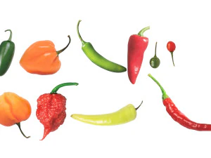 Chili Peppers Set 3D Model