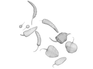 Chili Peppers Set 3D Model