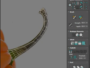 Chili Peppers Set 3D Model