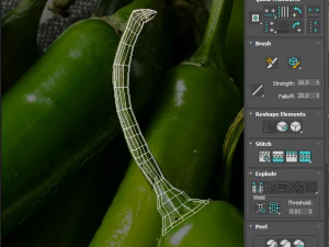 Chili Peppers Set 3D Model
