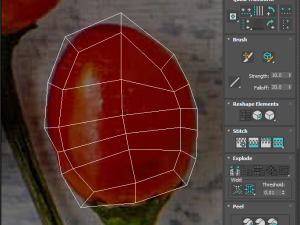 Chili Peppers Set 3D-Modell