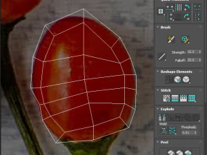 Chili Peppers Set 3D Model
