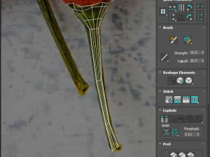 Chili Peppers Set 3D Model