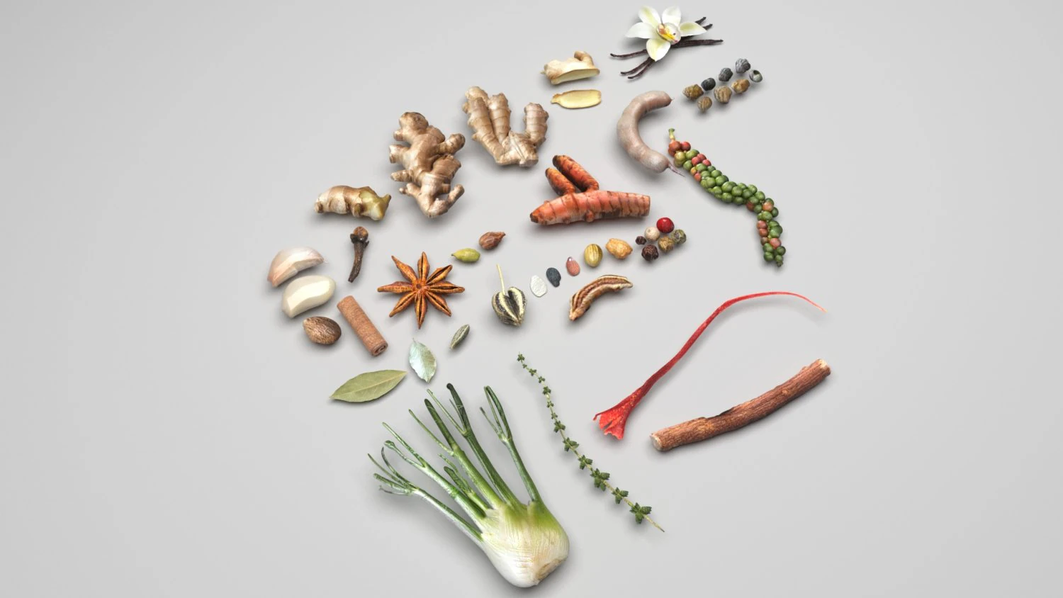 Spices Collection 3D Model .c4d .max .obj .3ds .fbx .stl .blend 