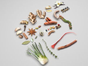 Spices Collection 3D Model